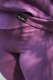 legíny Organic Eggplant